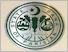 [thumbnail of ali_2011_power_profits_and_inflation_a_study_of_inflation_and_influence_in_pakistan_front.jpeg]