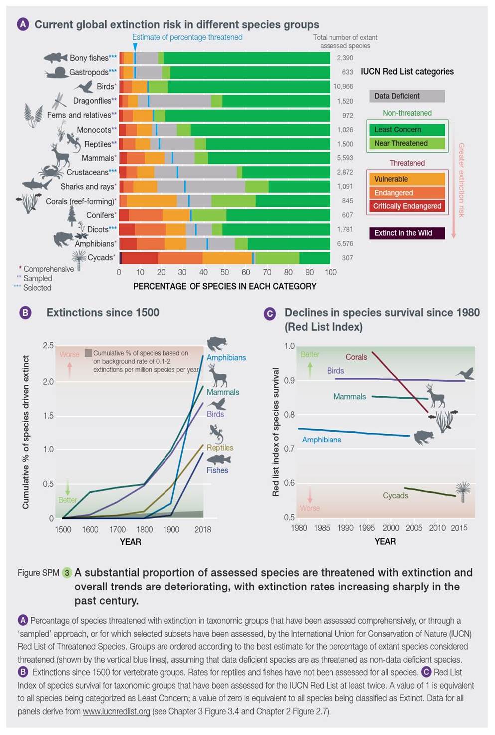 A picture containing diagram
Description automatically generated